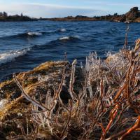 Lac de Mývatn - Islande