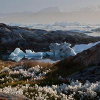 La calotte glaciaire est visible depuis le fjord Sermilik sur la côte est du Groenland
