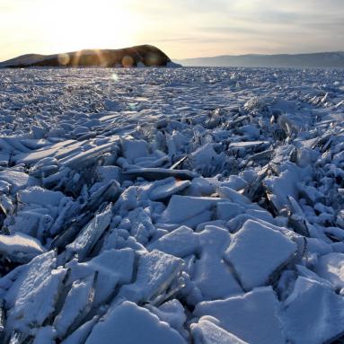 Toros du lac Baïkal en Sibérie